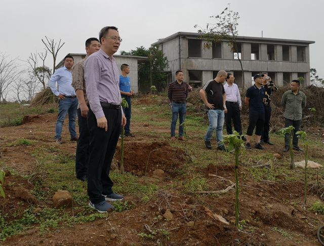 1554343776894802.jpg QQ图片20190404100028.jpg