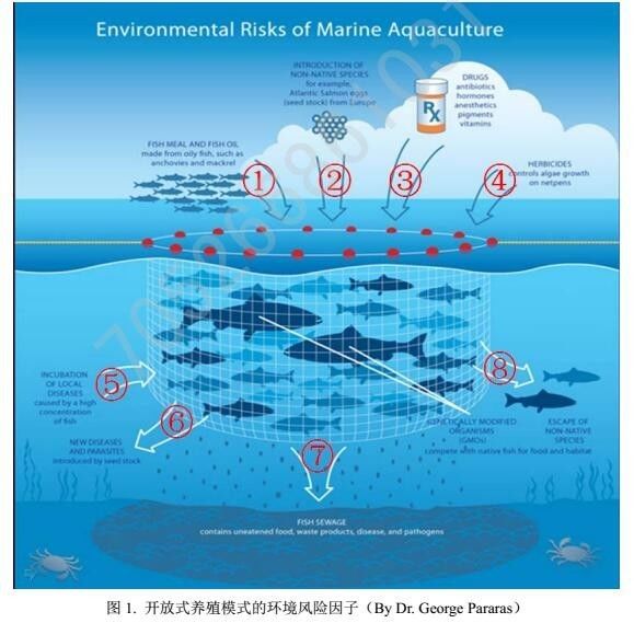 1506562888122167.jpg 1506562888122167.jpg