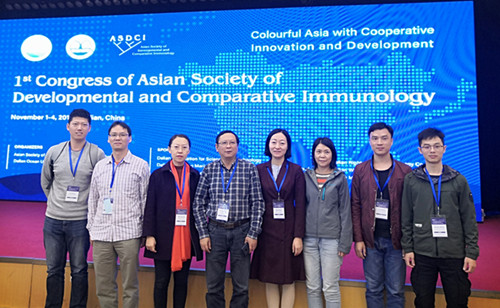 1573033830139250.jpg 1573033830139250.jpg