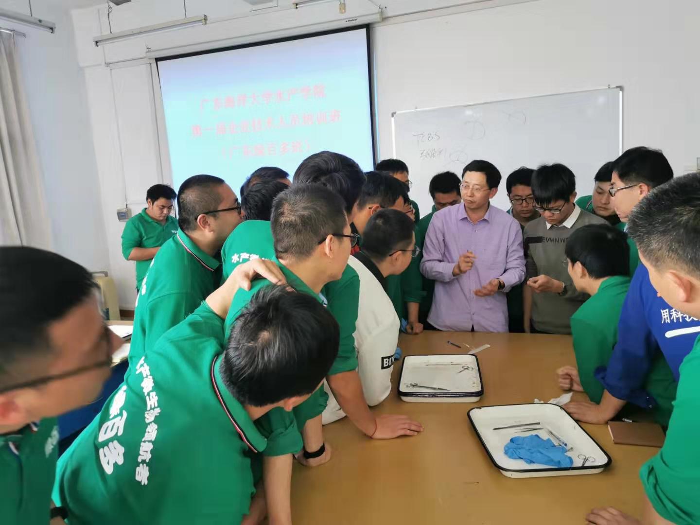 1577343902115570.jpg 1577343902115570.jpg