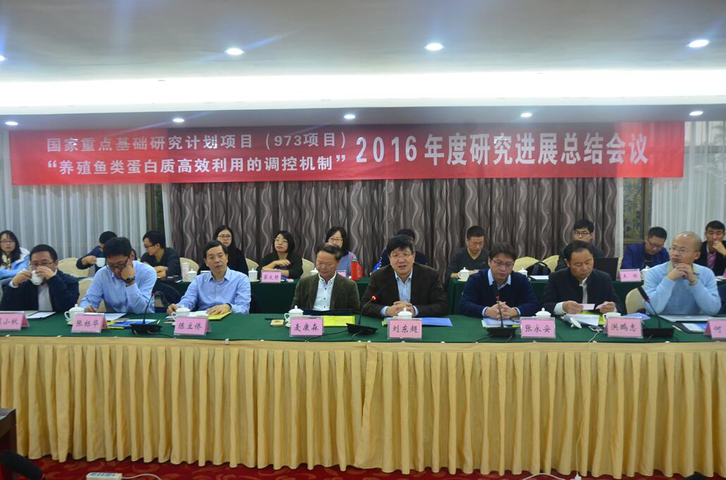 1486458816124809.jpg 1.jpg