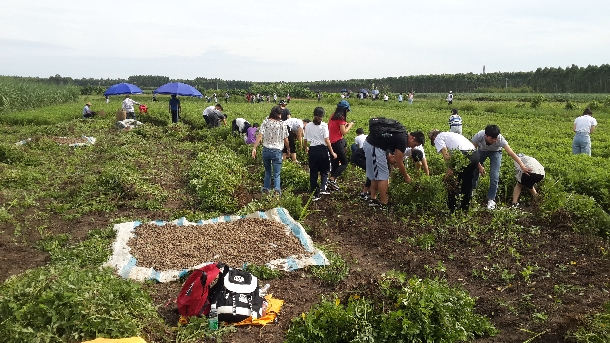 1531710589957026.jpg 微信图片_20180716104041.jpg