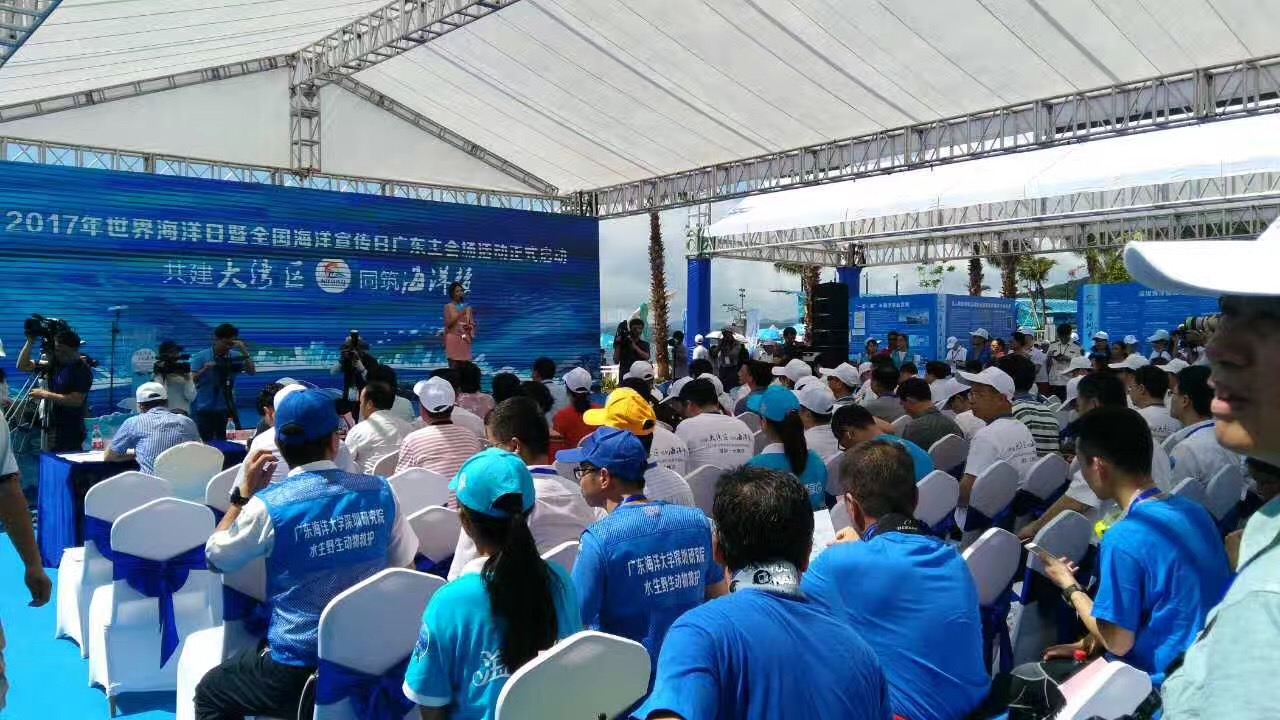 1496934606351354.jpg 1496934606351354.jpg