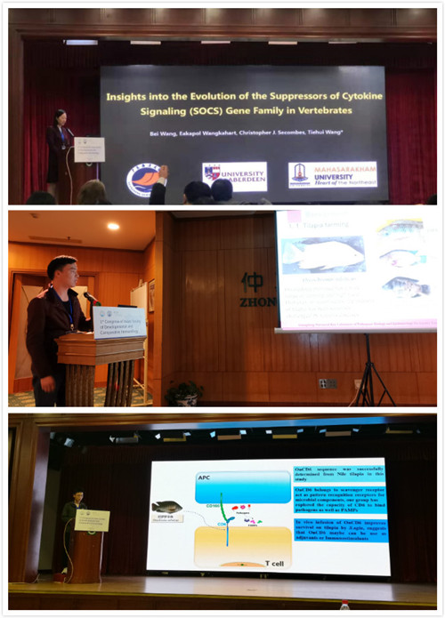 1573033830114305.jpg 1573033830114305.jpg