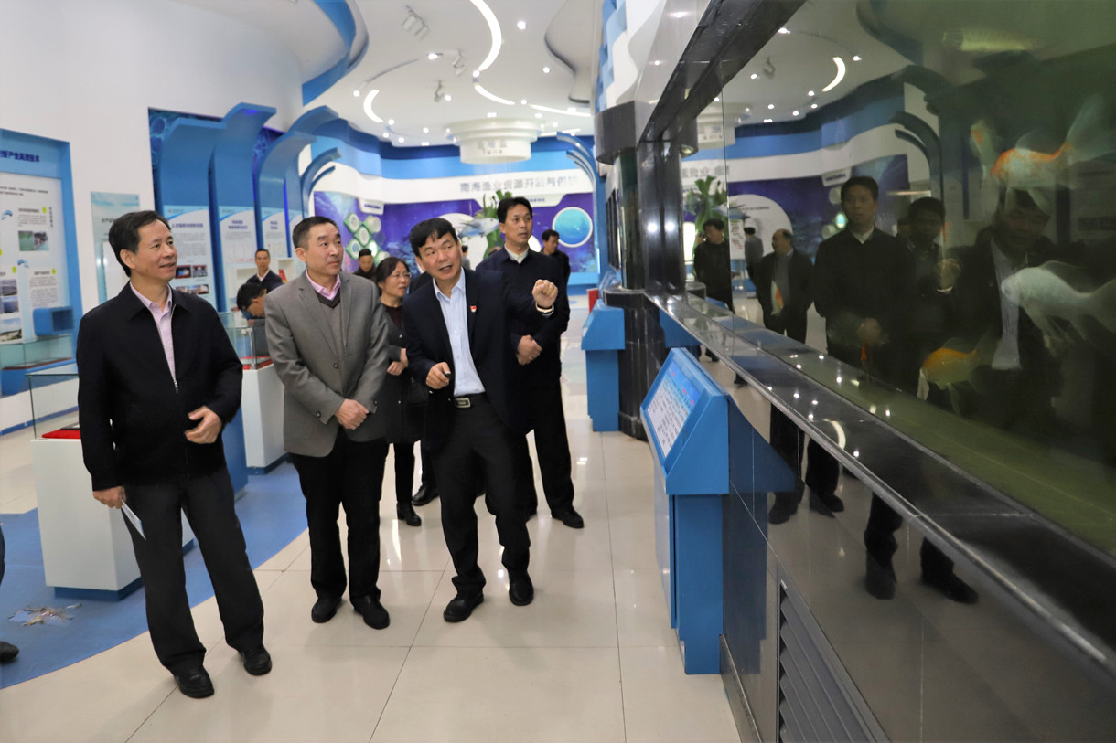 1544600811727409.jpg 1544600811727409.jpg