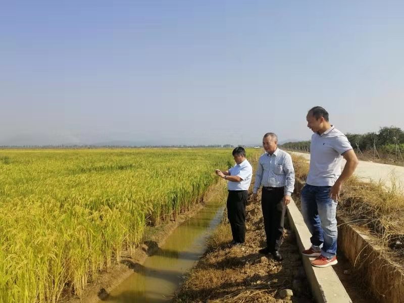 1573355620730808.jpg 1573355620730808.jpg