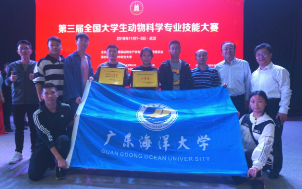 1573087428559414.jpg 1.jpg