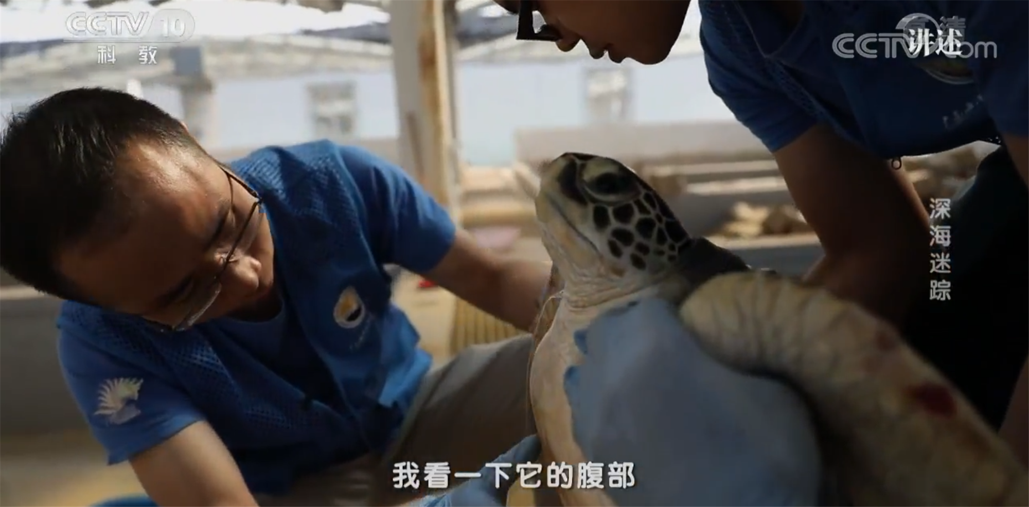 1543825185507688.png QQ截图20181203161602_副本.png